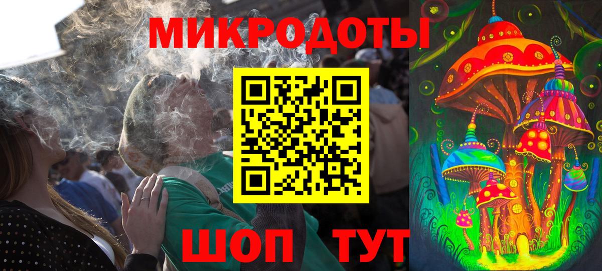Псилоцибиновые грибы Psilocybine cubensis Черняховск