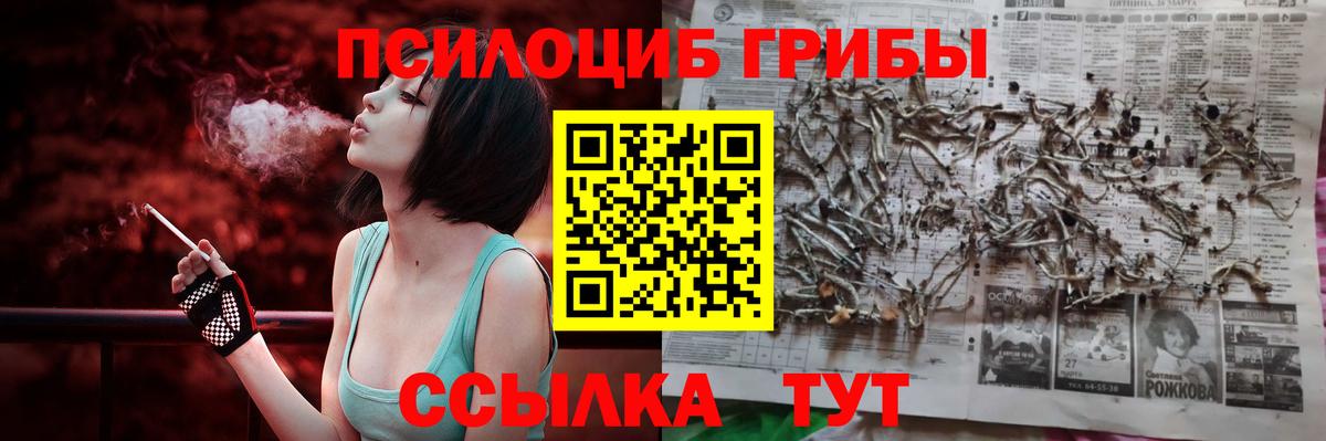 Псилоцибиновые грибы GOLDEN TEACHER  Вход с VPN  Черняховск 